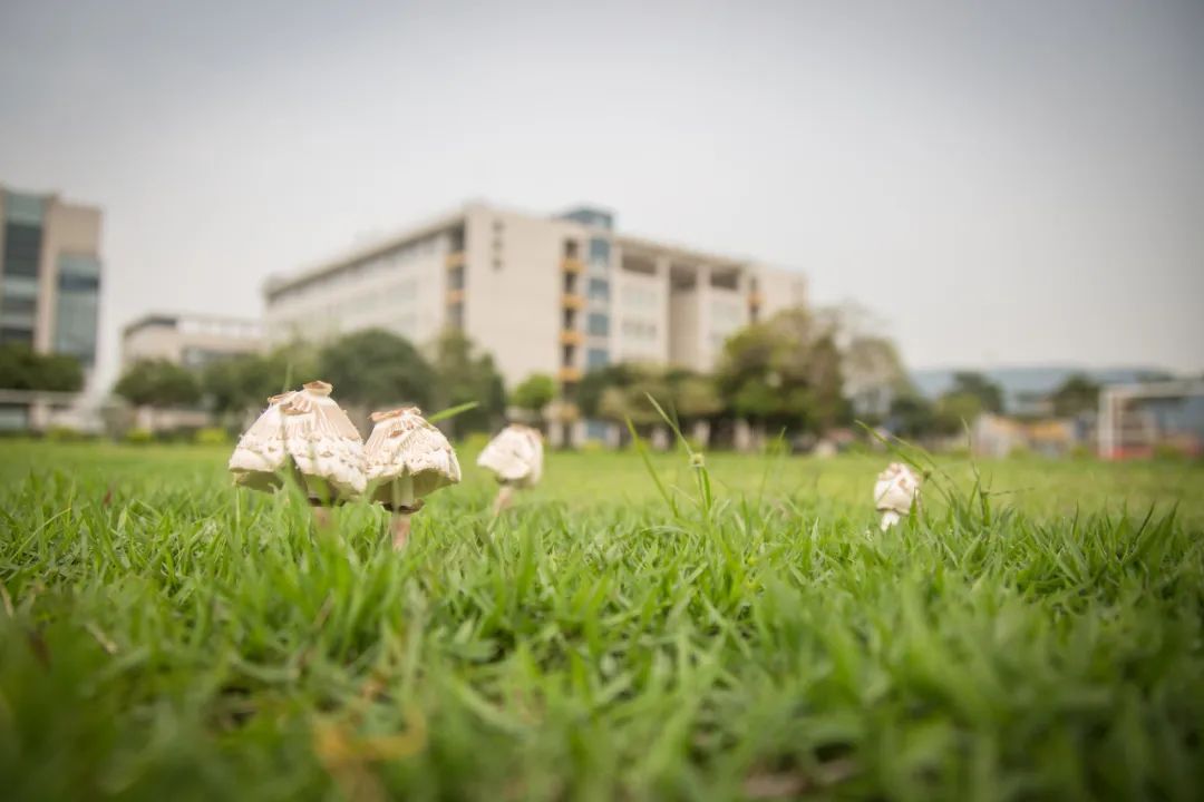 云游校園 ｜ ?春滿校園，想見你想見你想見你——廣東省交通運輸技師學(xué)院