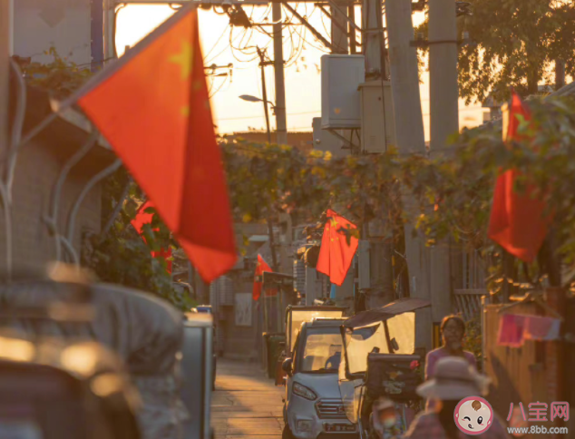 現(xiàn)在中國年輕人為什么這么愛國 愛國的原因是什么-廣東技校排名網(wǎng)