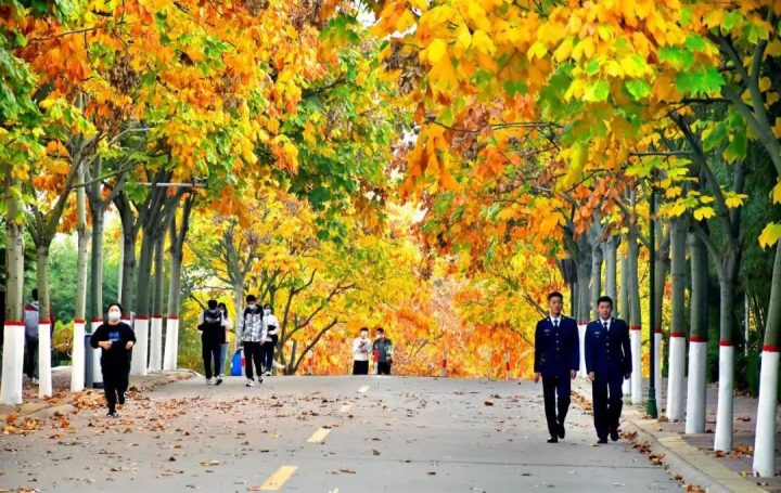 山東交通職業(yè)學(xué)院新生開學(xué)報(bào)到時(shí)間 附：報(bào)到須知全攻略-廣東技校排名網(wǎng)