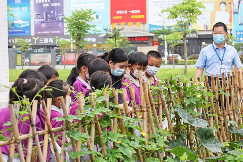 肇慶市工業(yè)貿(mào)易學(xué)校值得報(bào)考嗎（附：2022年招生計(jì)劃）-1