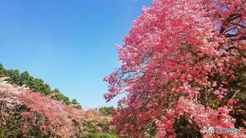 廣東民辦本科大學(xué)有哪些（附：廣東省民辦大學(xué)排名）-1