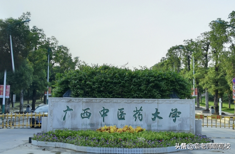 廣西省哪些二本大學(xué)比較有實力（附：廣西二本大學(xué)名單）-1