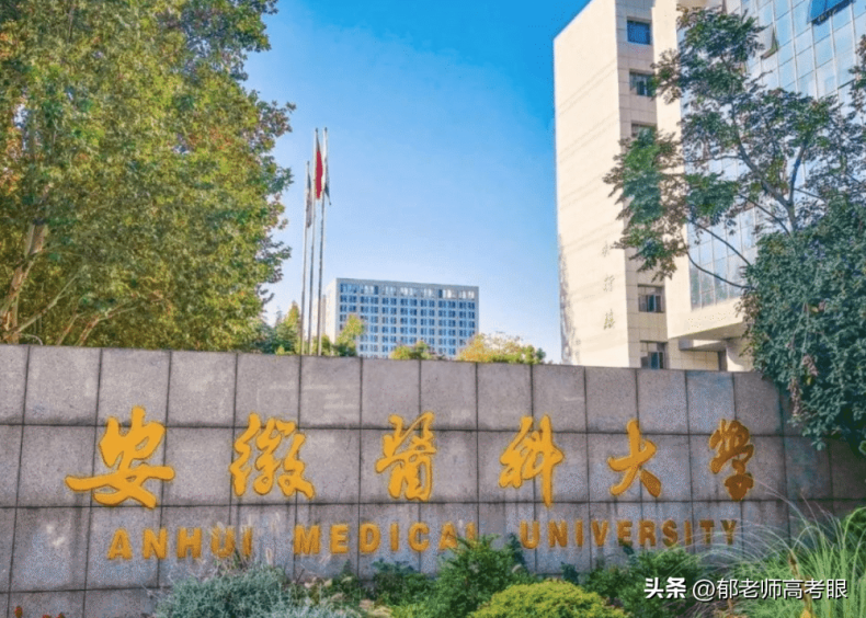 安徽醫(yī)科大學2022年錄取分數(shù)線（附：專業(yè)分及省排名）-1