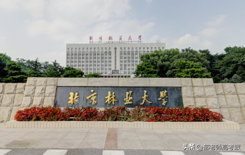 北京林業(yè)大學2022年錄取分數(shù)線（附：專業(yè)分及省排名）-1