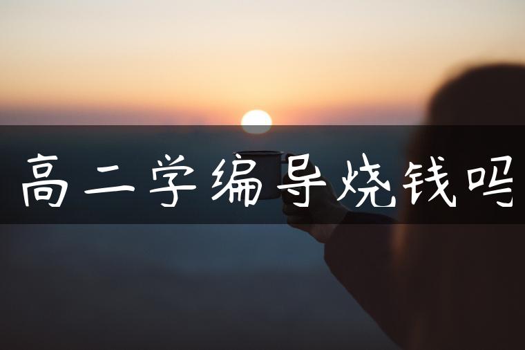 高二學(xué)編導(dǎo)燒錢嗎