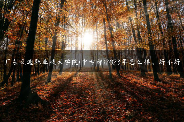 廣東交通職業(yè)技術(shù)學(xué)院(中專部)2023年怎么樣、好不好