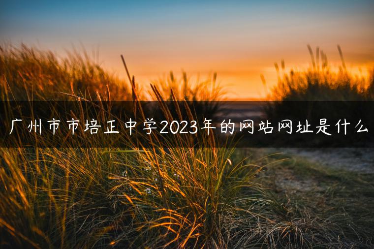 廣州市市培正中學2023年的網站網址是什么