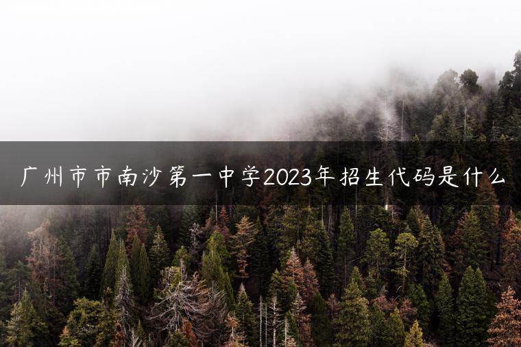 廣州市市南沙第一中學(xué)2023年招生代碼是什么