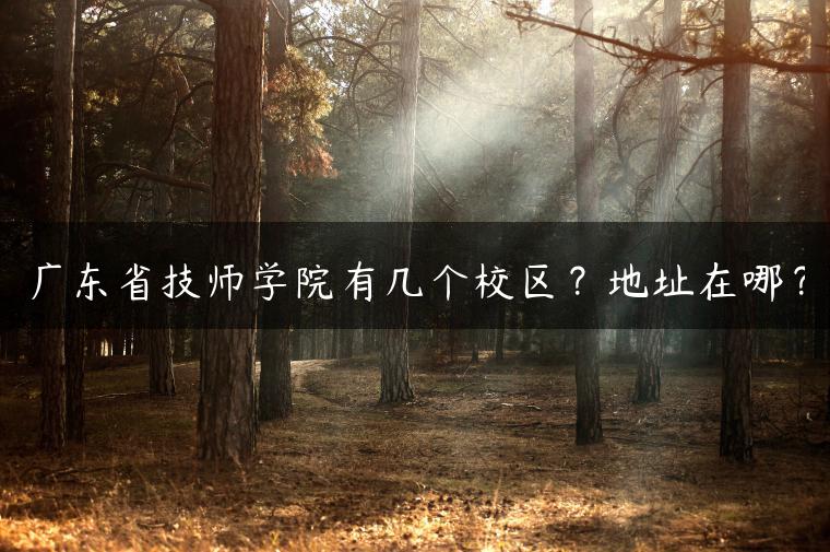 廣東省技師學院有幾個校區(qū)？地址在哪？