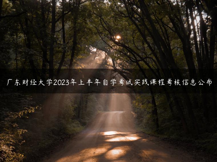 廣東財經(jīng)大學(xué)2023年上半年自學(xué)考試實踐課程考核信息公布