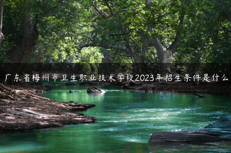 廣東省梅州市衛(wèi)生職業(yè)技術(shù)學(xué)校2023年招生條件是什么