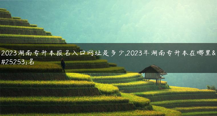 2023湖南專升本報(bào)名入口網(wǎng)址是多少,2023年湖南專升本在哪里報(bào)名