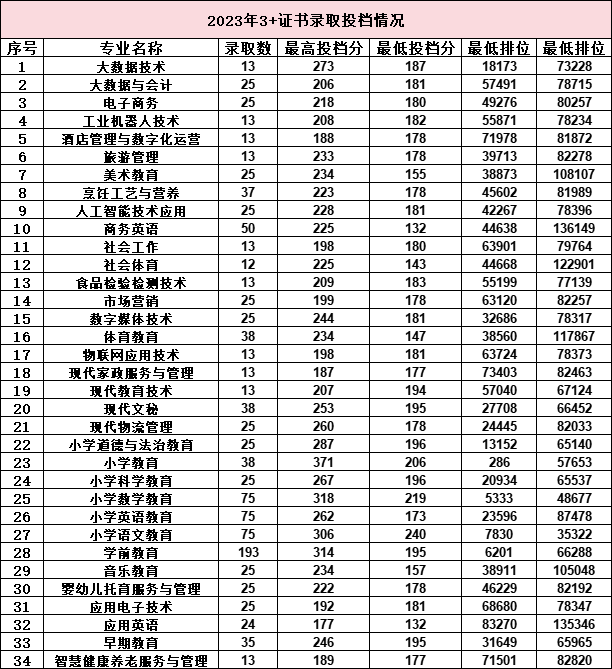 湛江幼兒師范?？茖W(xué)校2024年3+證書招生計(jì)劃-1