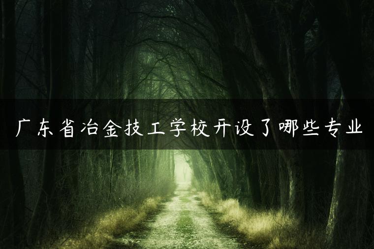 廣東省冶金技工學校開設了哪些專業(yè)