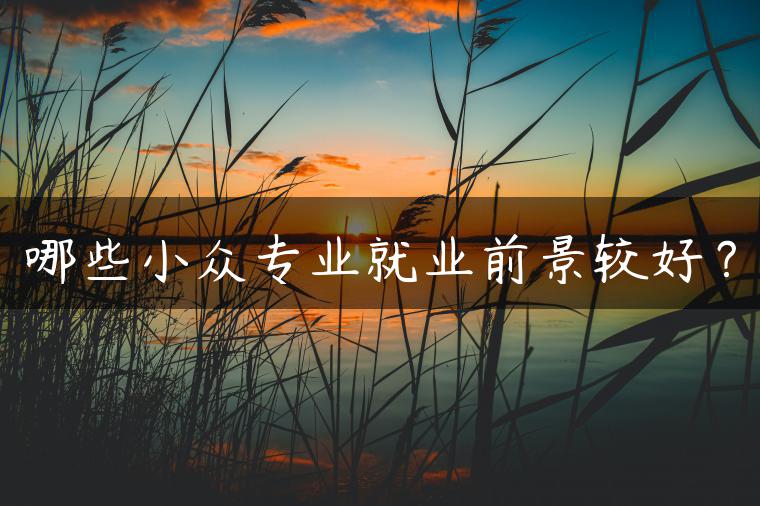 哪些小眾專(zhuān)業(yè)就業(yè)前景較好？