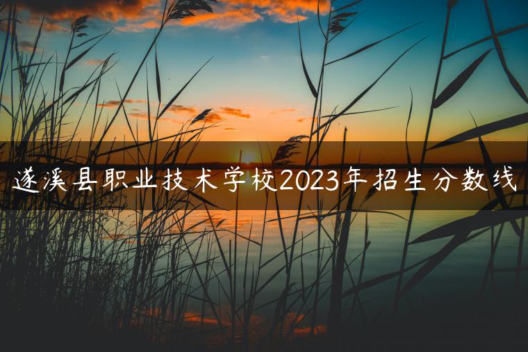 遂溪縣職業(yè)技術(shù)學校2023年招生分數(shù)線