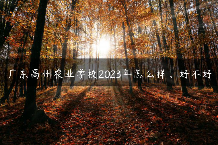 廣東高州農(nóng)業(yè)學(xué)校2023年怎么樣、好不好